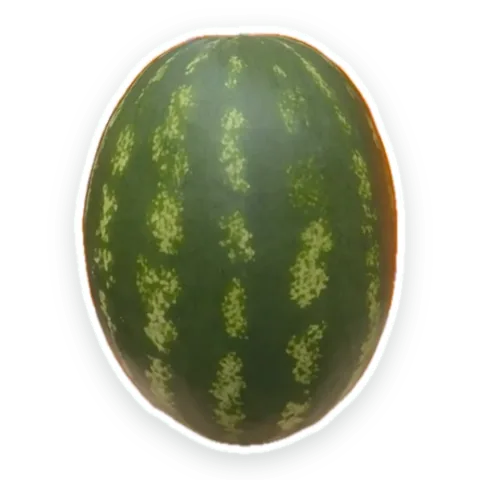 Watermelon sticker